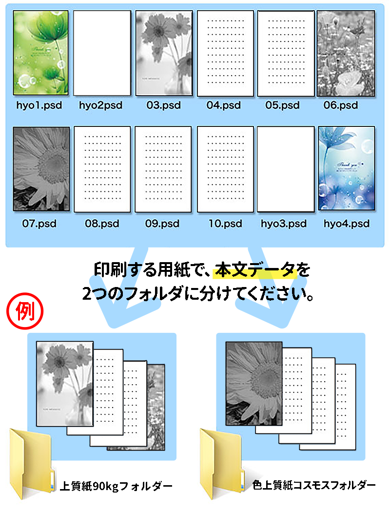 フォルダの分け方イメージ