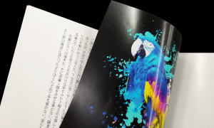 本文紙替えセット