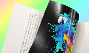 本文紙替えセット