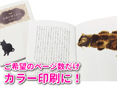 小説本